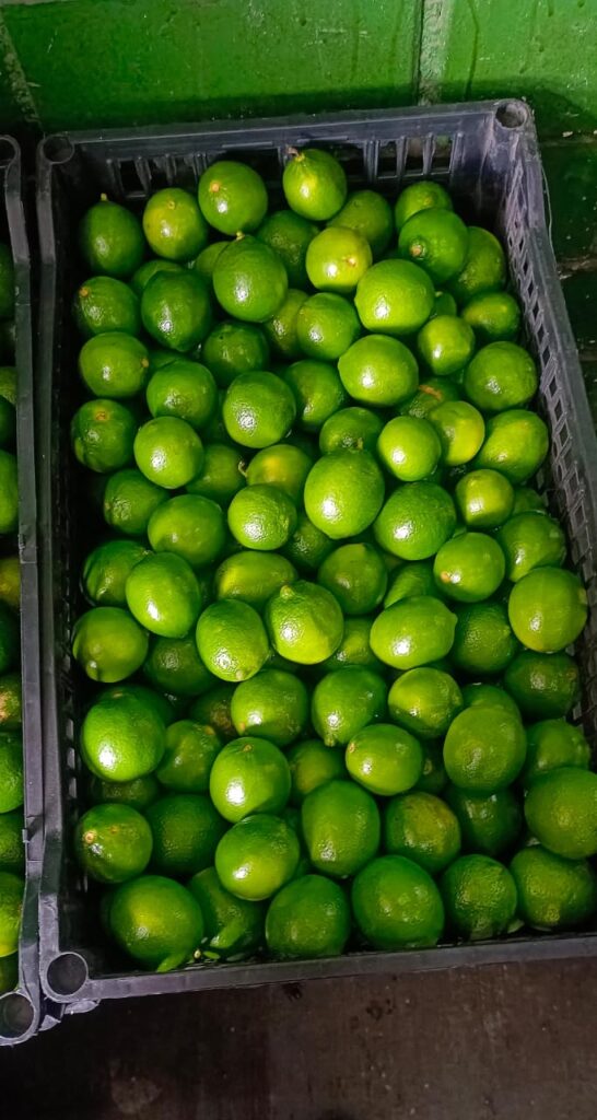 Limones